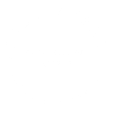 SoloTaxPro Logo